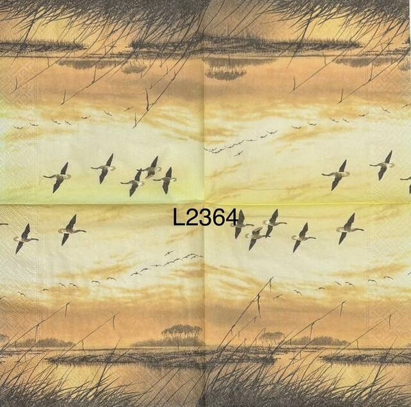 Birds (L2364) - Geese Flying with Sunrise in Background