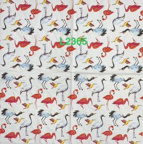 Flamingos (L2365) - Flamingos, Herons, and Hummingbirds