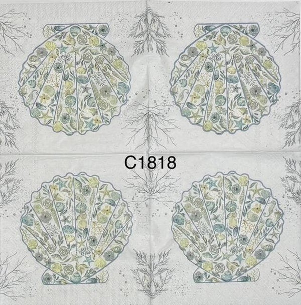 Beach (C1818) - Clam