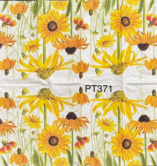 Flowers (PT371) - Daisies in Yellows and Oranges