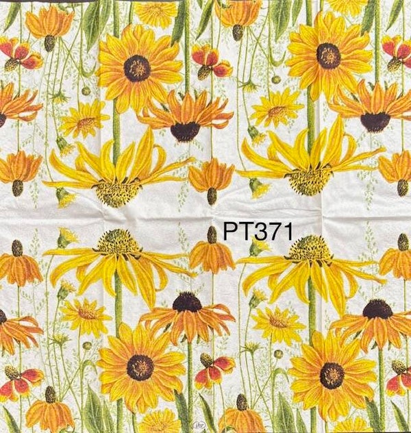 Flowers (PT371) - Daisies in Yellows and Oranges
