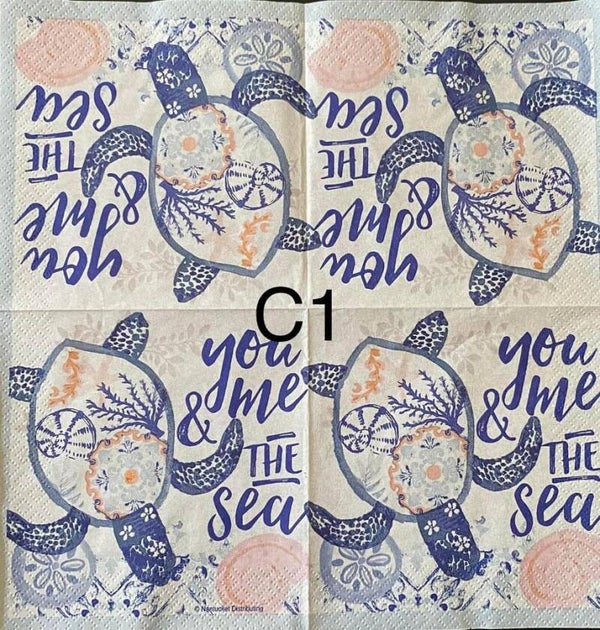 Beach (C1) - Turtle - You Me and the Sea