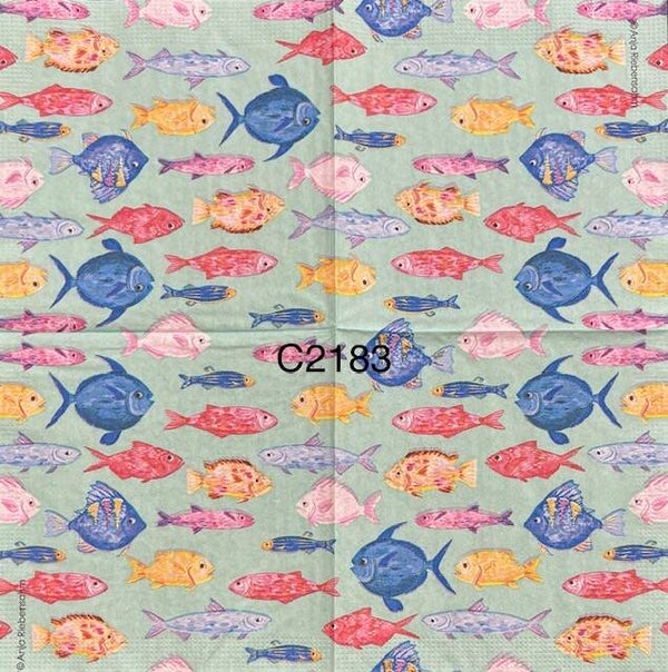 Beach (C2183) - Small Colorful Fish Background