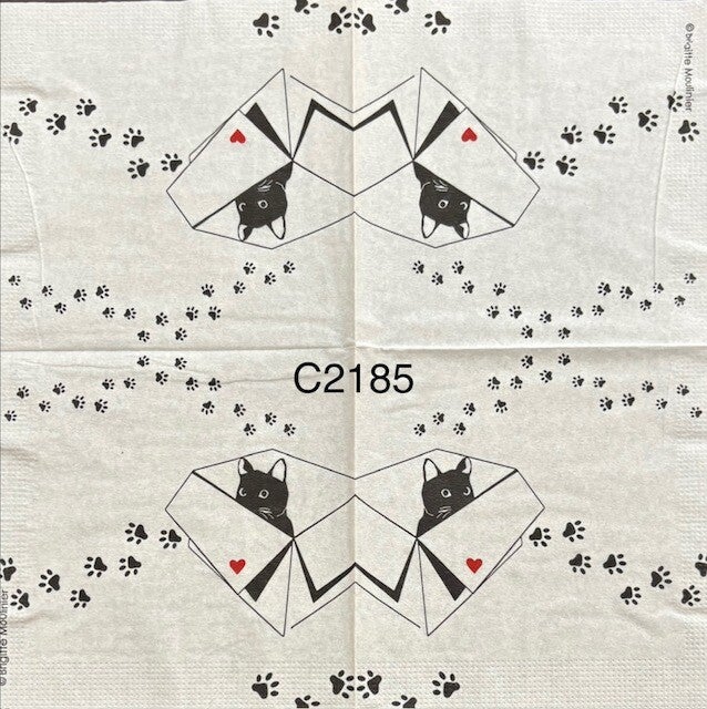 Cats (C2185) - Black Cat in Box with Foot Prints All Around