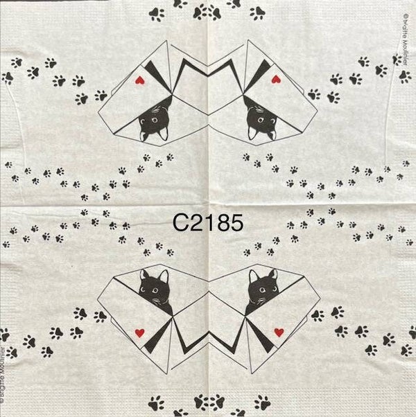 Cats (C2185) - Black Cat in Box with Foot Prints All Around