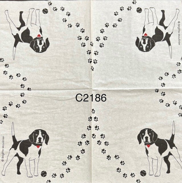 Dogs (C2186) - Black Dog with Foot Prints Around