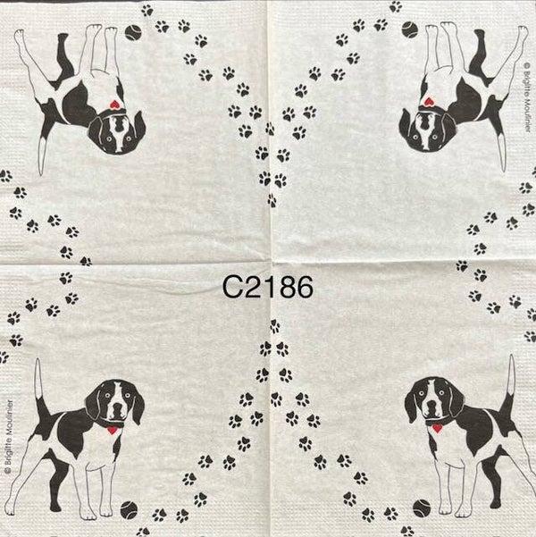 Dogs (C2186) - Black Dog with Foot Prints Around