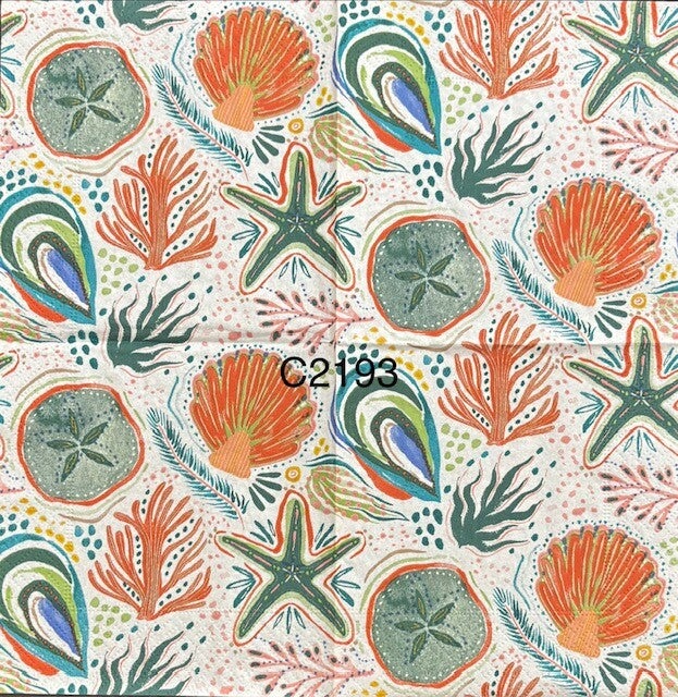 Beach (C2193) - Very Colorful Shells, Starfish, Oyster Shell, Coral, Sand Dollar
