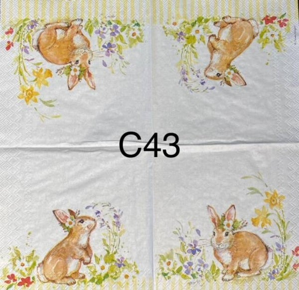 Easter (C43) - Single Bunny Smelling Flowers
