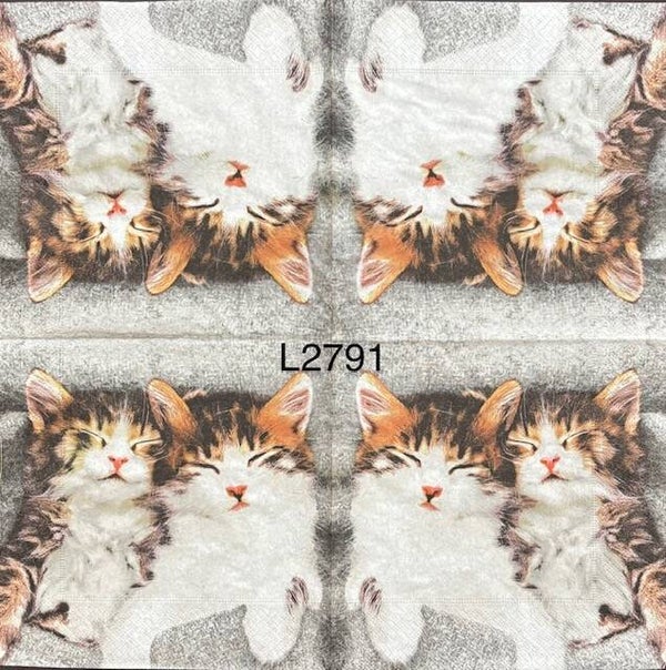 Cats (L2791) - Two Kittens Sleeping