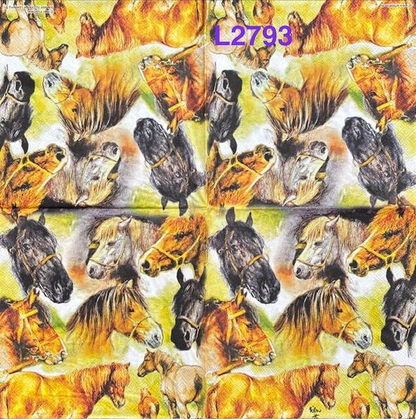 Horses (L2793) - Colorful Horse Heads Background