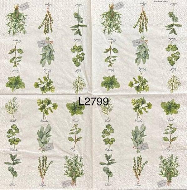 Vegetables (L2799) - Herbs of All Kinds