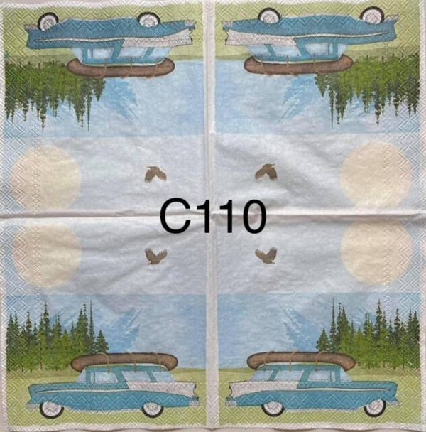 Camping (C110) - Station Wagon with Canoe on Roof