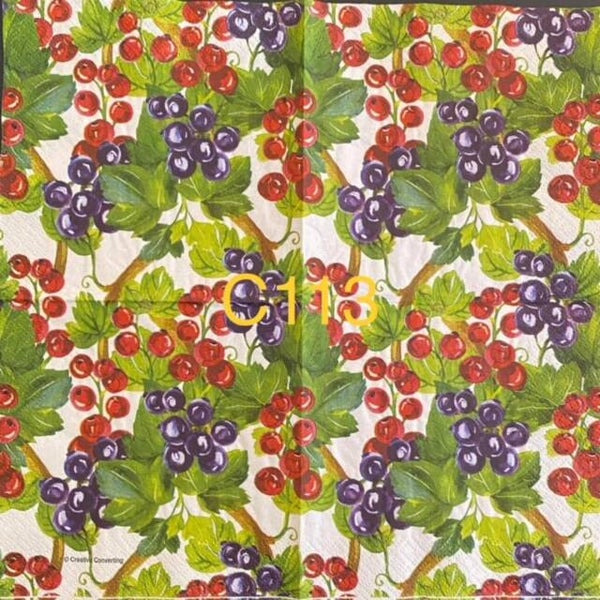 Fruits (C113) - Berry Branches