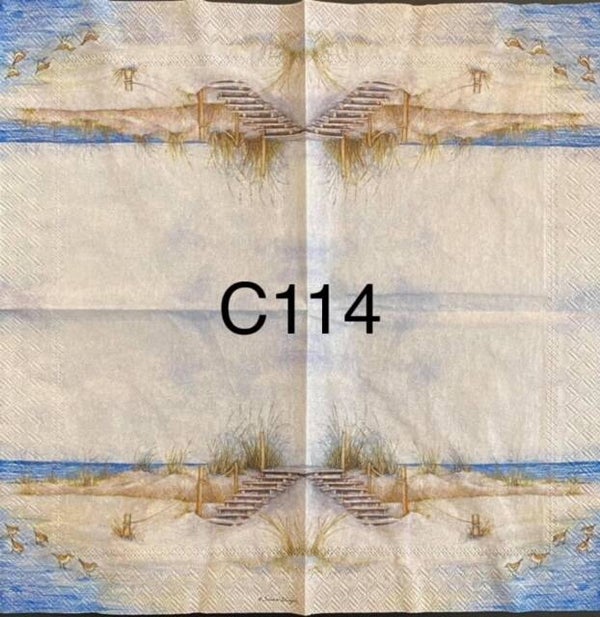 Beach (C114) - Walkway on Island