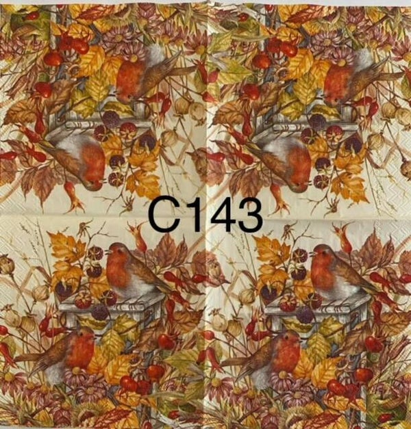 Fall (C143) - Birds Sitting on Bird House