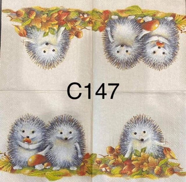 Animals (C147) - Hedgehogs Sitting on Ground