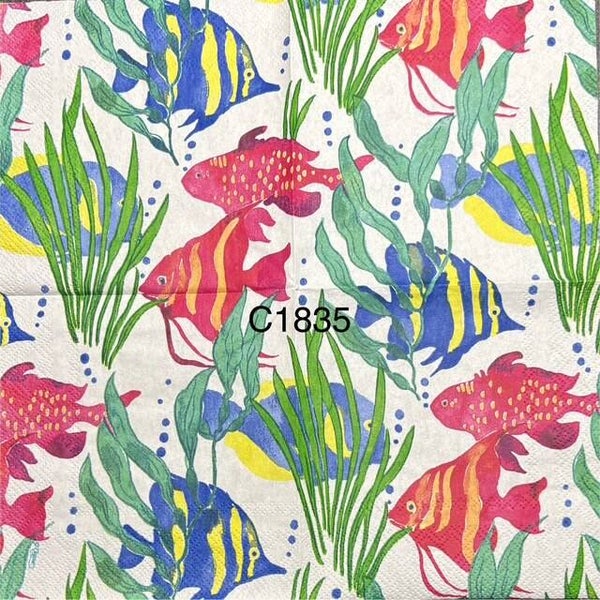 Beach (C1835) - Colorful Fish and Algae