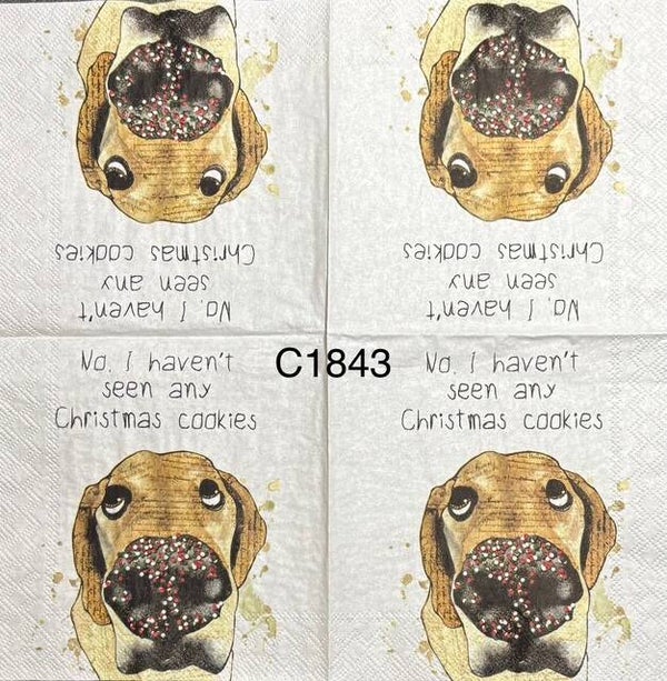 Dogs (C1843) - No, I Haven't Seen Any Christmas Cookies
