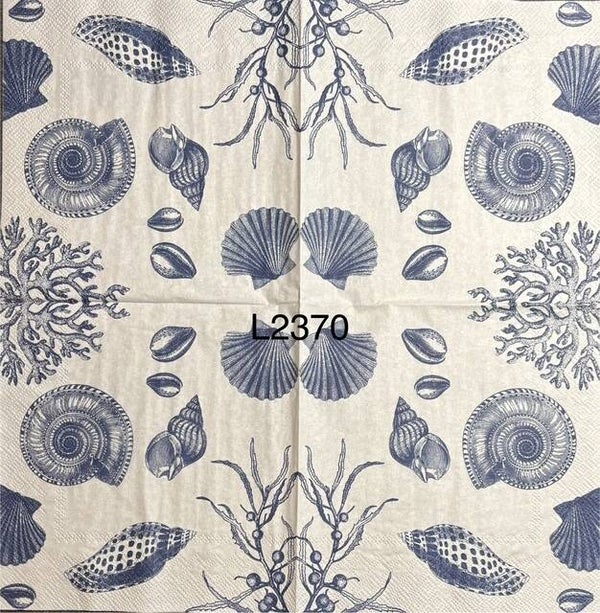 Beach (L2370) - Blue and White Shells, Coral, and Algae