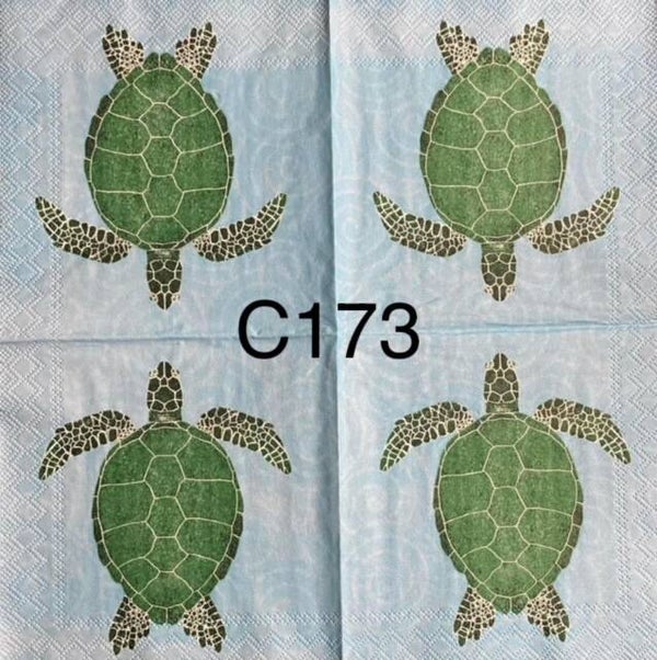 Beach (C173) - Green Turtle
