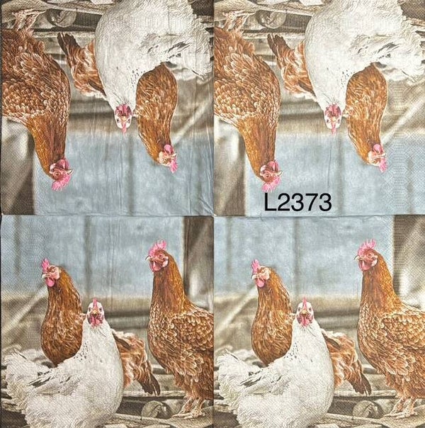 Birds (L2373) - White and Brown Chickens (Real Life Looking)