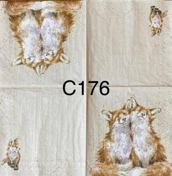 Animals (C176) - Fox Couple