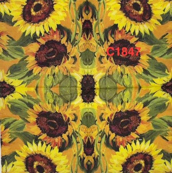 Sunflowers (C1847) - Sunflower Wallpaper, Large