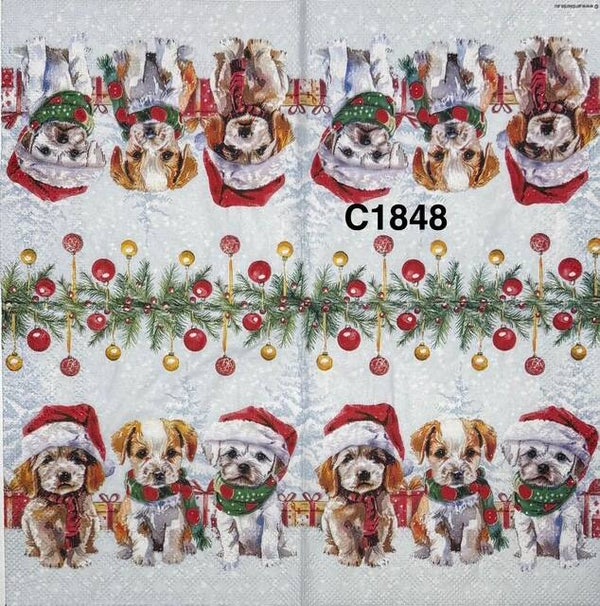 Dogs (C1848) - Puppies with Santa Hats and Scarves Sitting Under Garland with Hanging Ornaments