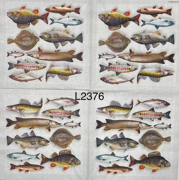 Food (L2376) - All Types of FIsh