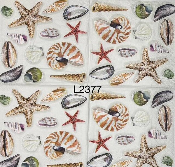 Beach (L2377) - Shells and Starfish