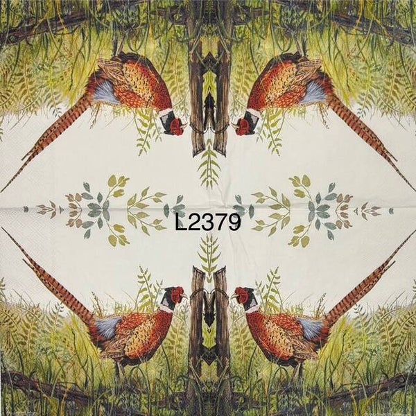 Birds (L2379) - Pheasant in the Field