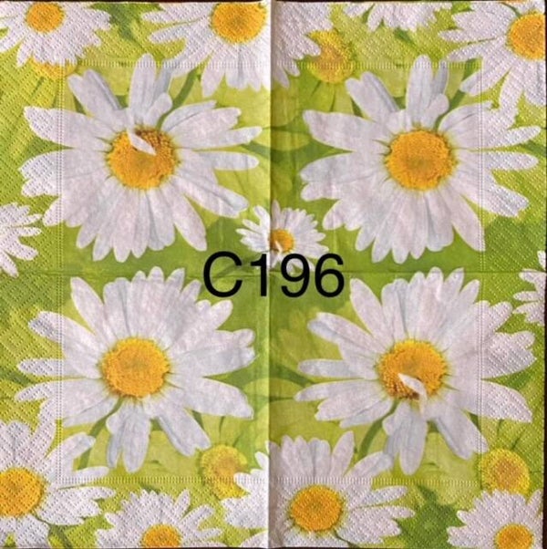 Flowers (C196) - White Daisies