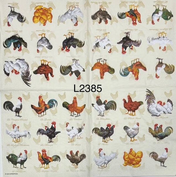 Birds (L2385) - Rows of Chickens and Roosters
