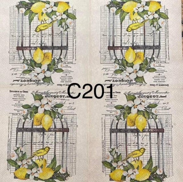 Fruits (C201) - Bird Cage with Lemons Attached