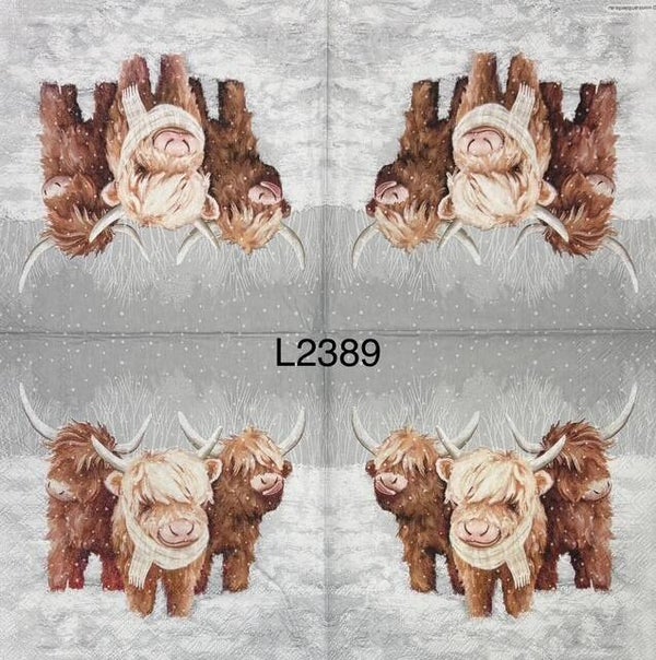 Cows (L2389) - Three Baby Highland Cows