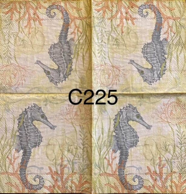 Beach (C225) - Seahorse