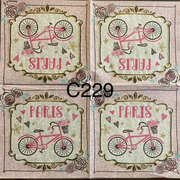 Paris (C229) - Bicycle with Flower Basket