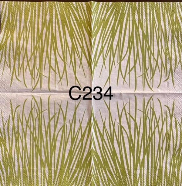 Plant (C234) - Grass