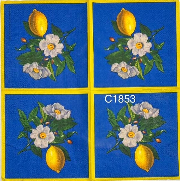 Fruits (C1853) - Lemon Stem with White Flowers, Blue Background