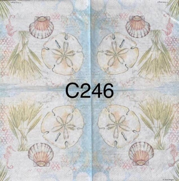 Beach (C246) - Clam Shell and Sand Dollar