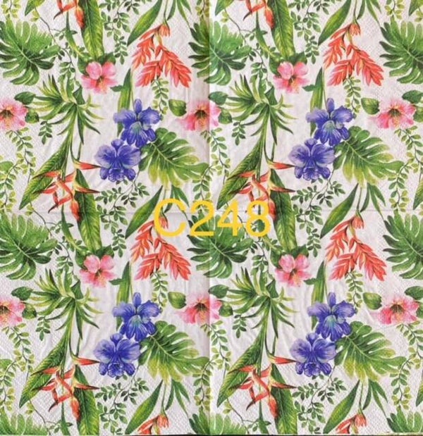 Flowers (C248) - Tropical Bunch