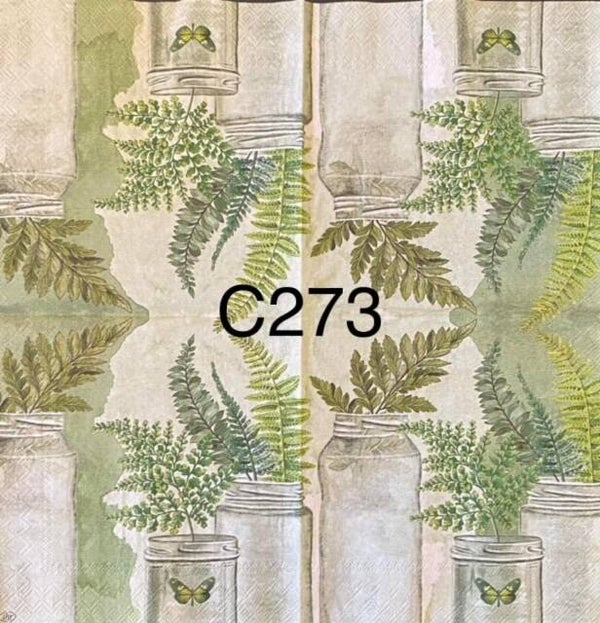 Plants (C273) - Fern in Jars