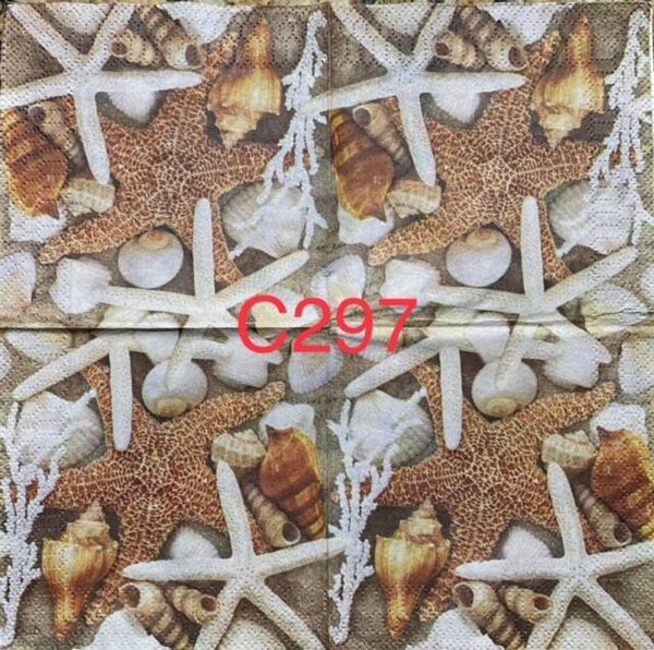 Beach (C297) - Real Looking Starfish, Shells and Sand