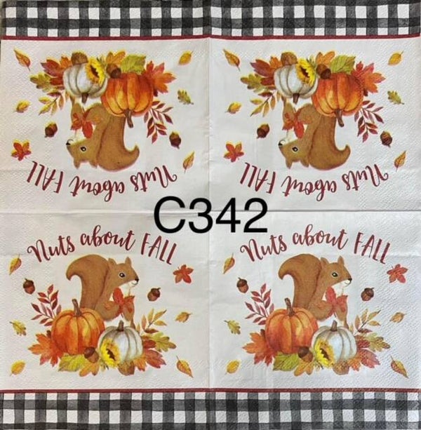 Fall (C342) - Squirrel Holding Leaf "Nuts About Fall"