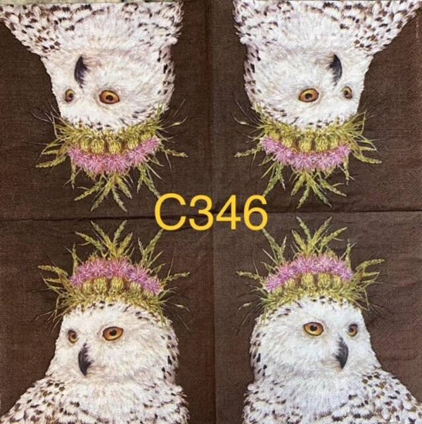 Birds (C346) - White Owl with Purple Flower Headpiece