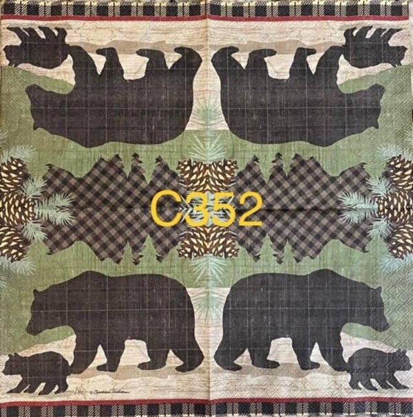 Animals (C352/1539) - Mama and Baby Black Bear