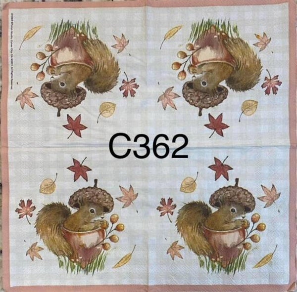Animals (C362) - Squirrel in Acorn