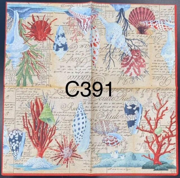 Beach (C391) - Variety of Shells with Script