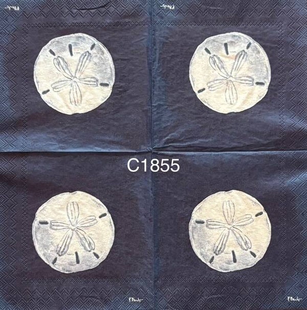 Beach (C1855) - Sand Dollar